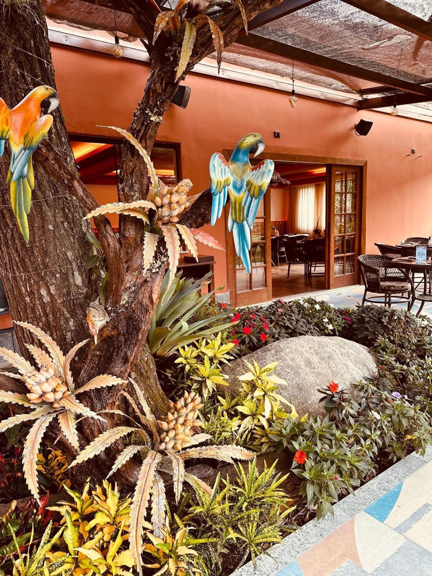 Chácara Comary Hotel Teresopolis Ngoại thất bức ảnh